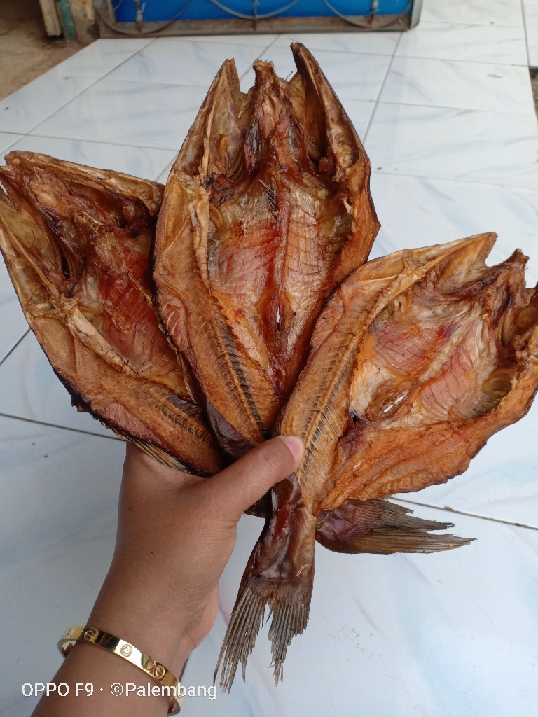ikan salai baung sungai