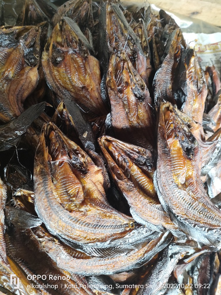 ikan salai lele gambir