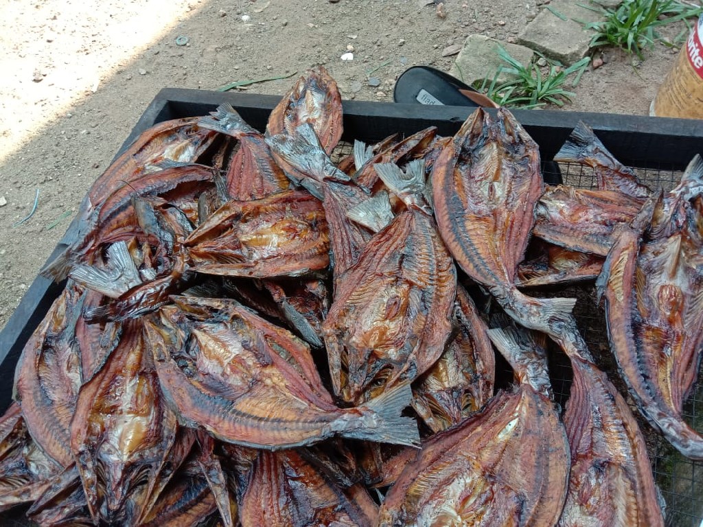 ikan salai paten