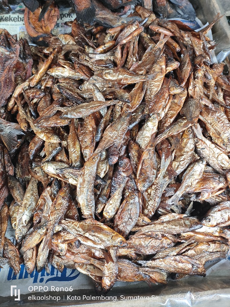ikan salai lambak