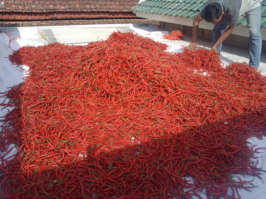 cabe merah dan daging frozen