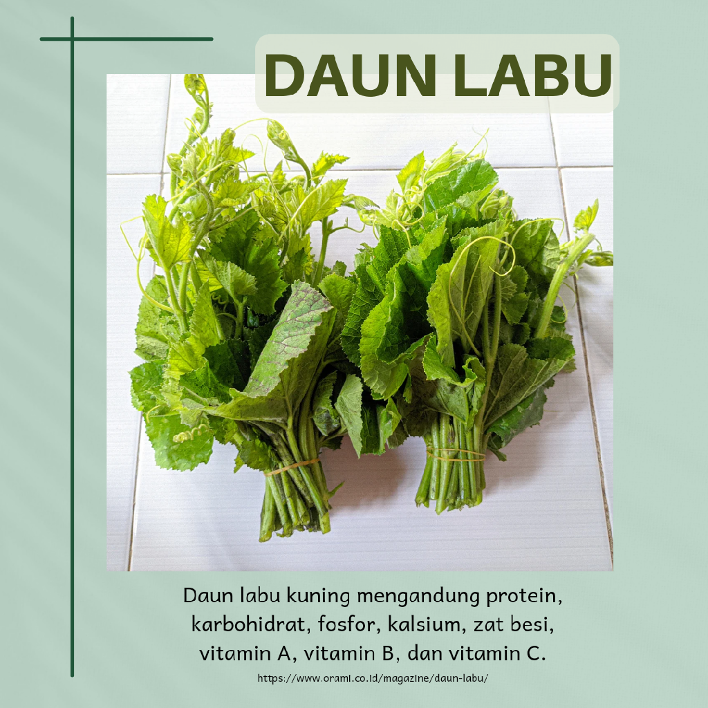 Daun Labu