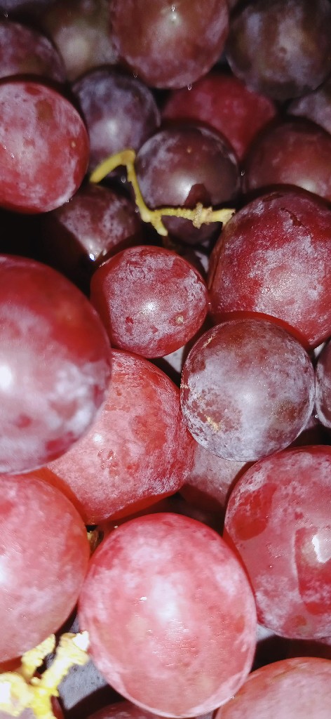 Anggur Manis