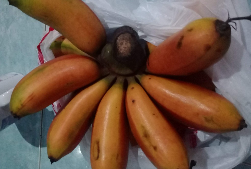 Pisang Mas