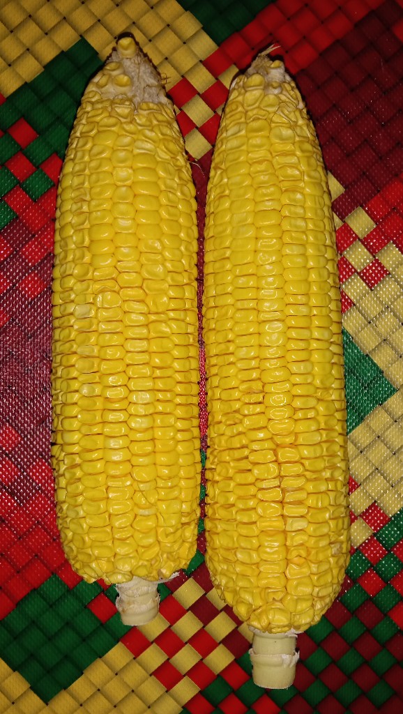 Jagung