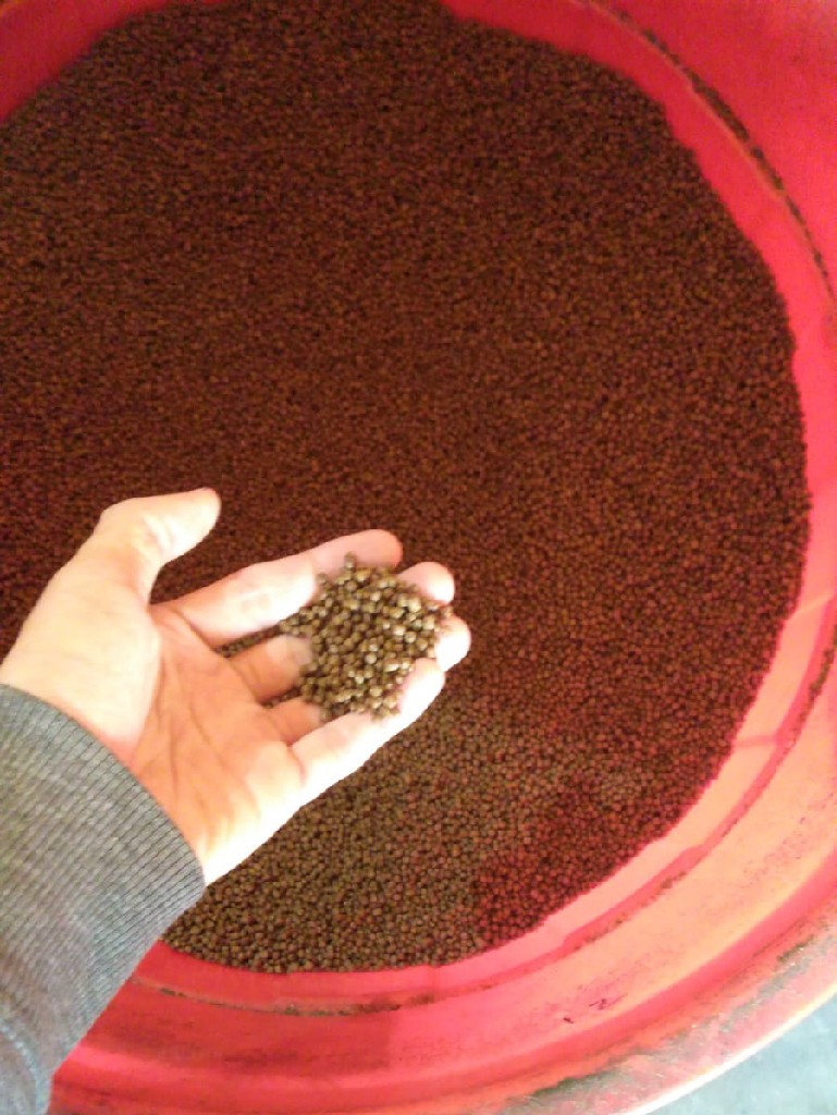 Pakan ikan Hi-Pro-Vite 781-2