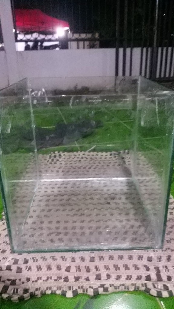 Akuarium Kaca