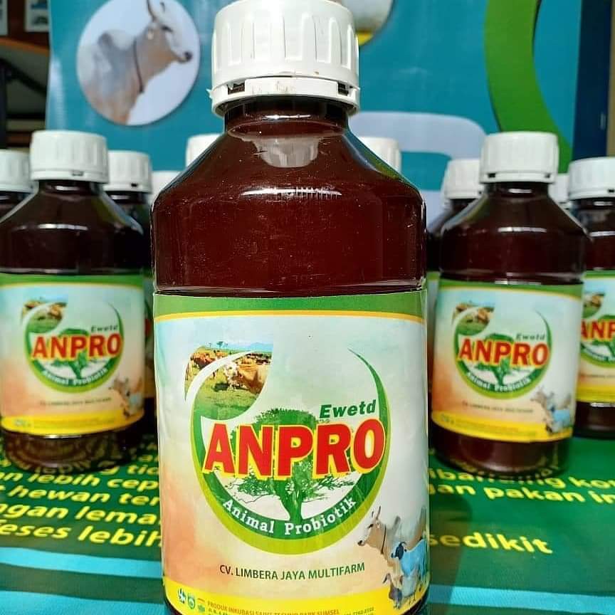 probiotik ternak