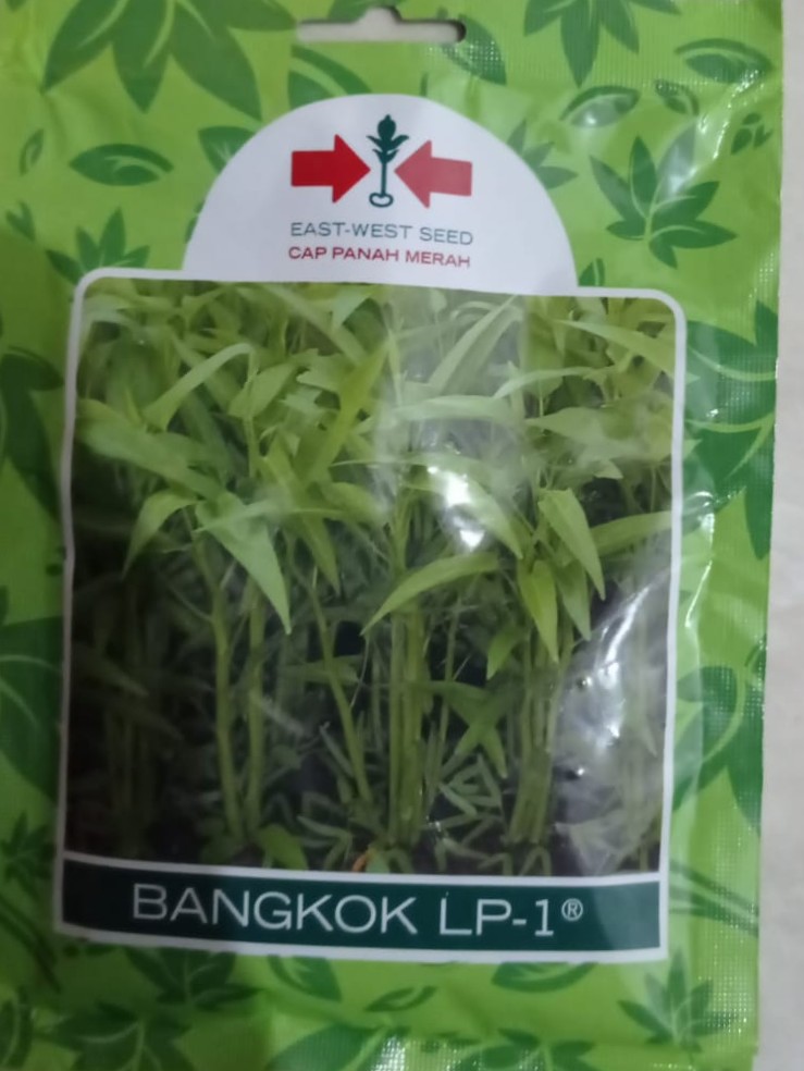 Jual Benih Kangkung Cap Panah Merah Kualitas Unggul