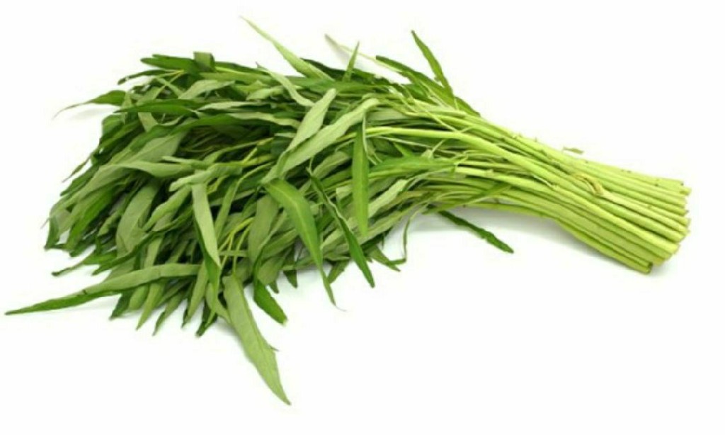 Sayur Kangkung Organik