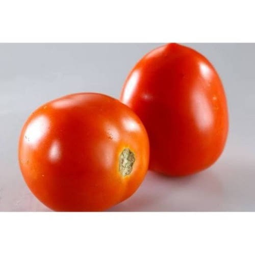 Tomat