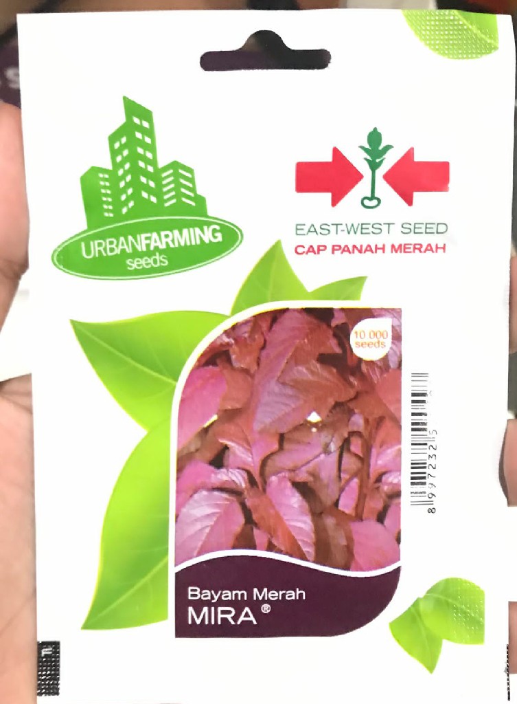 Bibit Bayam Merah Kualitas Super