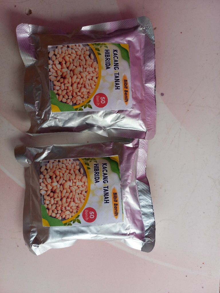 bibit benih kacang tanah