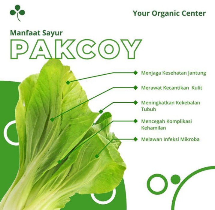 Pakcoy