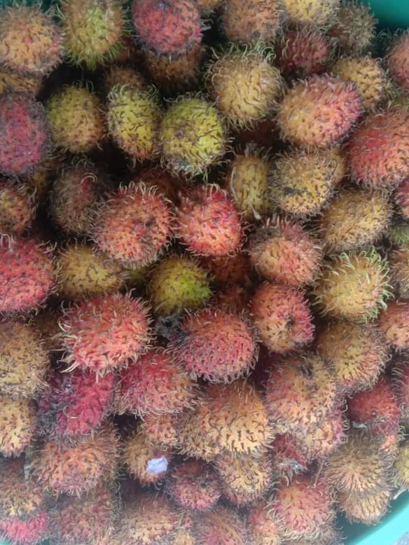 Dijual Rambutan Manisss
